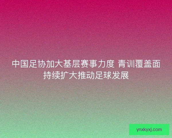 中国足协加大基层赛事力度 青训覆盖面持续扩大推动足球发展