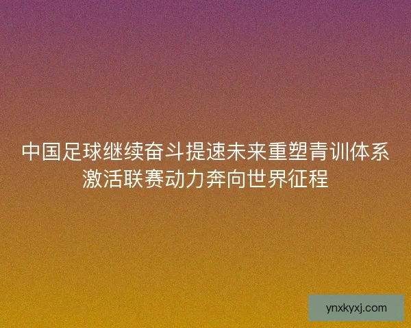 中国足球继续奋斗提速未来重塑青训体系激活联赛动力奔向世界征程